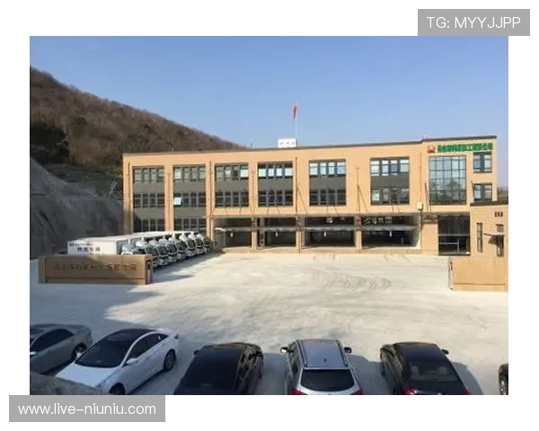 BG真人体育平台的技术支持与客户服务体系，保障玩家无忧体验的关键因素